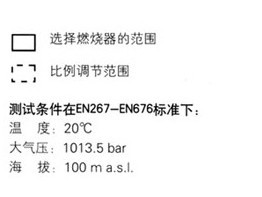 利雅路天然氣燃燒機(jī)