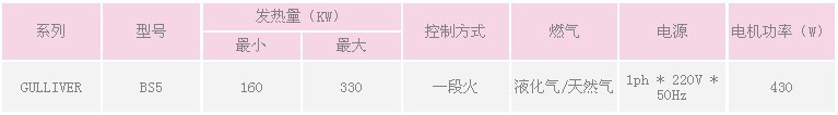 利雅路燃燒器